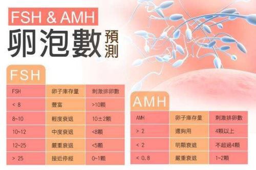 AMH和性激素六项检测卵巢储备.jpg