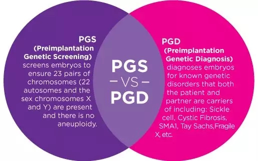 试管婴儿pgd/pgs技术