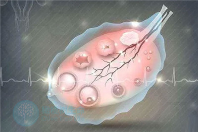 多囊卵子质量差，泰国试管婴儿的成功率高吗？