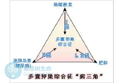 一文解惑多囊卵巢综合症做试管如何实现好孕？