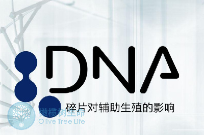 精子核DNA碎片率（DFI）与生育生育的关系