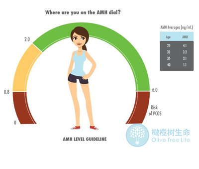 AMH低基础卵泡只有2个，做试管可获多个卵子吗？