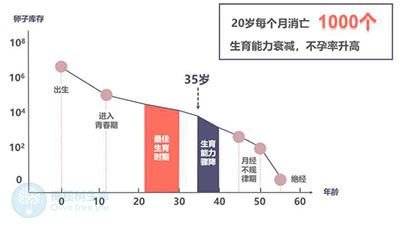 试管成功率率受年龄的影响，大龄更要注意！