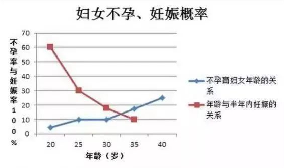 做试管就像高考，你还剩几关才"毕业"？