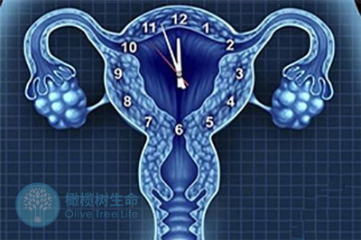 44岁做试管婴儿，保障成功怀孕的关键点是什么？