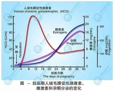 试管移植后精神紧张会影响胚胎着床吗？