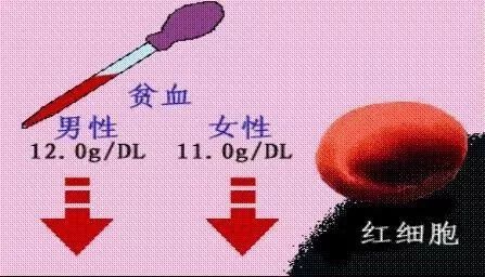 贫血对试管婴儿成功率有影响吗?如何应对?