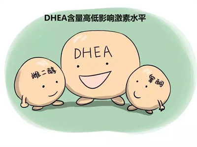 卵巢功能差会影响试管的成功率吗？服用DHEA有哪些好处？