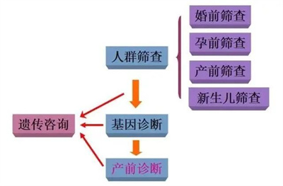 世界地贫日|三代试管婴儿技术助力宝宝“脱贫”！