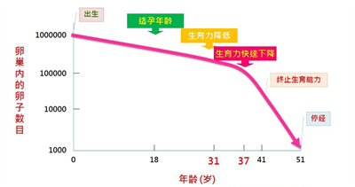 原来冻卵是不是"后悔药"取决于这个因素！