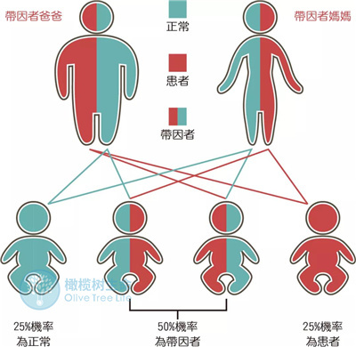 在哪些情况下，有必要做第三代试管婴儿？