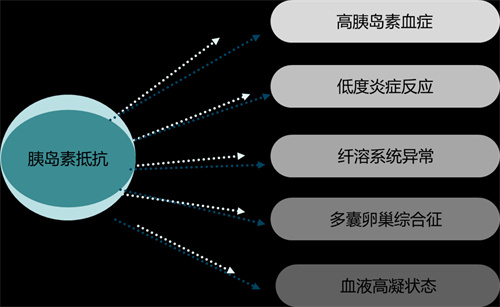 做试管前检查异常，发现胰岛素抵抗该怎么办？