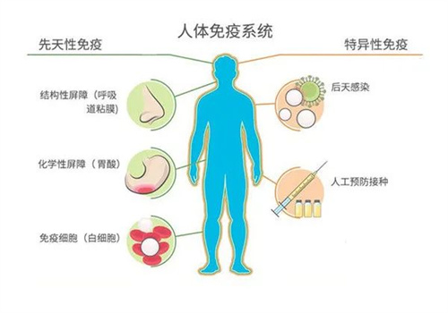 FSH高=卵子质量差？用对方法也能轻松抱娃！