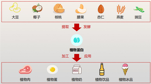 做试管前查出胰岛素抵抗？这六个改善方法不要错过！