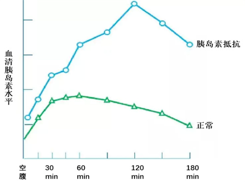 做试管前查出胰岛素抵抗？这六个改善方法不要错过！