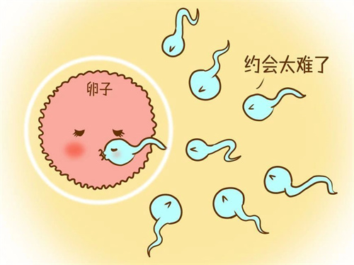 检查出输卵管异常，有什么解决方法？