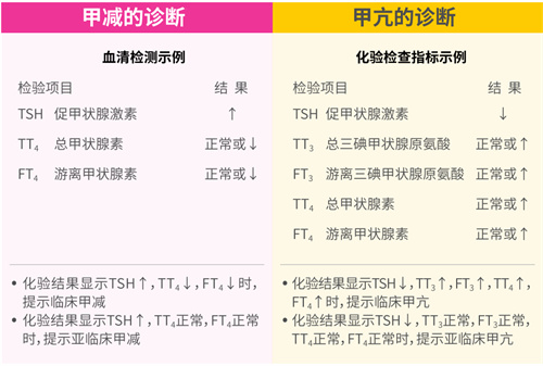 甲状腺激素对生育的影响大吗？做试管是否会影响成功率？