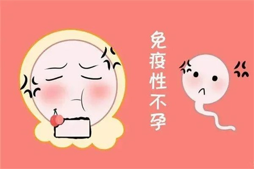 胎停、流产……为什么总是找上你？