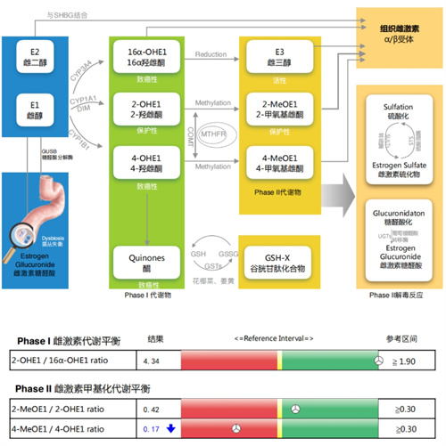 卵泡发育还未成熟就排卵了，这对生育能力会造成影响吗？