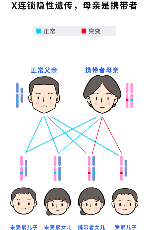 不是空穴来风！生育前必须要了解这项检查