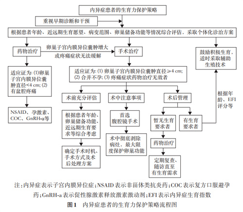 子宫内膜异位症的促排方案指南，哪个最适合你？