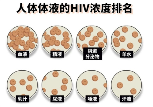 世界艾滋病日 | HIV阳性家庭也可以生育健康宝宝！