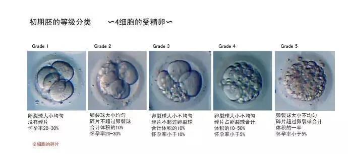 多次移植失败，要从这4个方面综合改善！