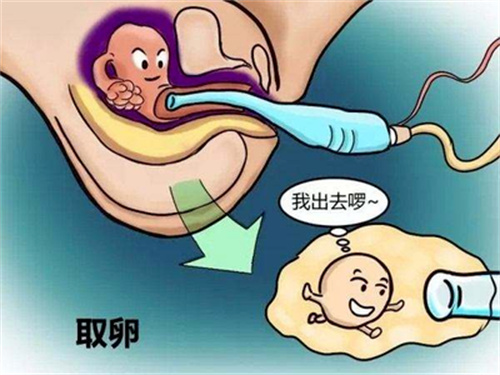 试管人群必看：为什么卵泡数≠取卵数≠胚胎数？