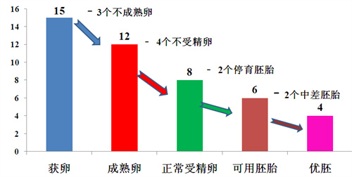 试管人群必看：为什么卵泡数≠取卵数≠胚胎数？