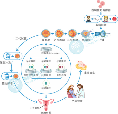 国际罕见病日|生而不凡，为爱呐“罕”