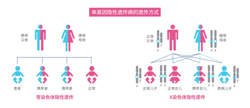 盘点三代试管的利与弊，一定有你不知道的真相！