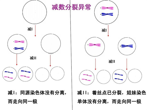 盘点三代试管的利与弊，一定有你不知道的真相！