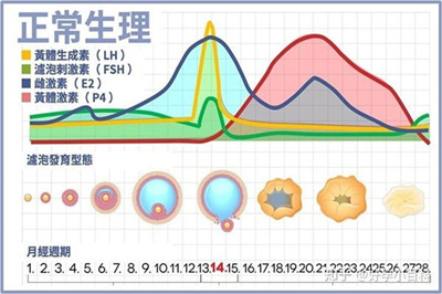 取卵前这一步，做得好「稳准狠」，做不好「前功尽弃」！