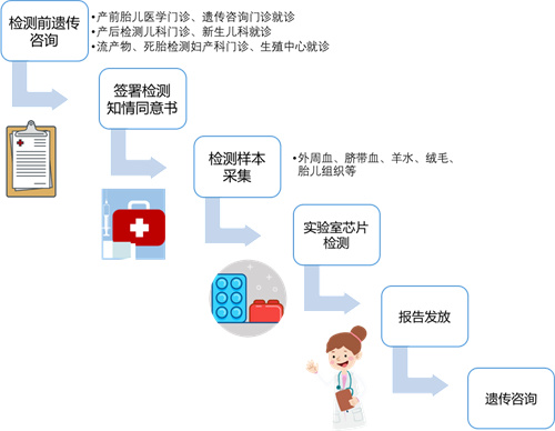 全面了解基因芯片检测，这一篇就够了