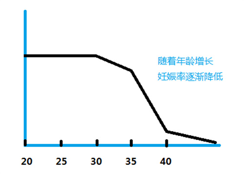 做试管婴儿如高考，好孕答案请收好！