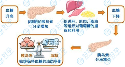 打完「生长激素」卵更差了？！错就错在这一点！