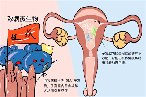 小心！这个无症状疾病正在影响你的试管婴儿成功率