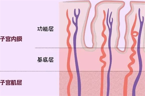 子宫内膜增厚与什么原因有关？该怎么防止内膜的增厚、恶变？