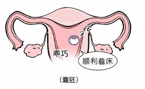 ESHRE重磅：让胚胎移植率提升65%的药物诞生！