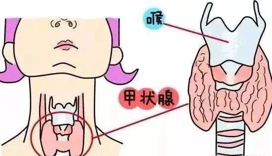 补了孕激素，为什么内膜还是长不好？