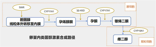 肝素/阿司匹林保胎没用？！可能是这个指标有异常！