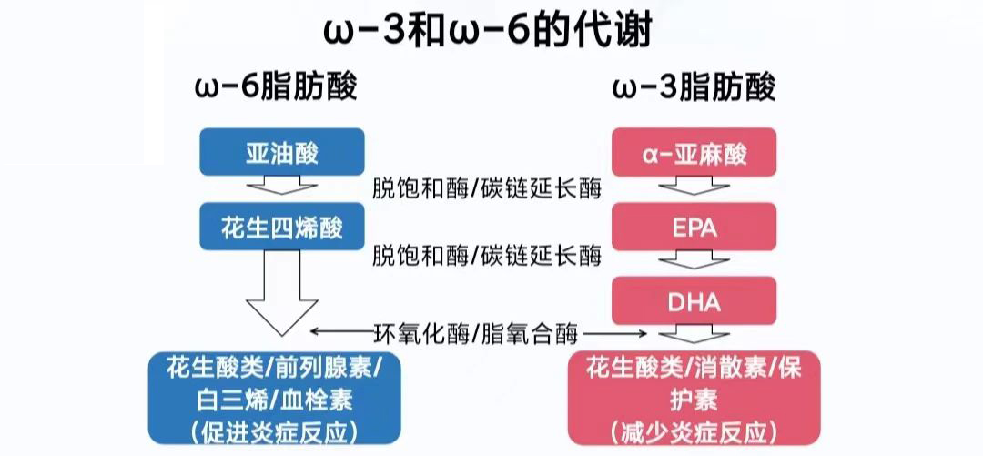 这个身边的「促炎杀手」，90%的人都在用！一旦更换生育力提高1.5倍！文献实锤！