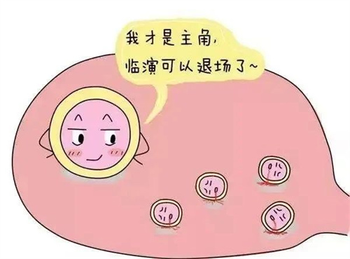 提高「获卵数」有5个办法，做好1个就够了！