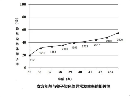 胚胎异常率高达90%！40+高龄备孕人群做试管婴儿还在你成功怀上吗？