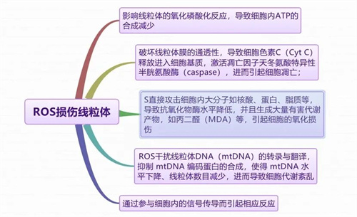 做试管婴儿前期，养卵的第一步，从「抗氧化」开始！