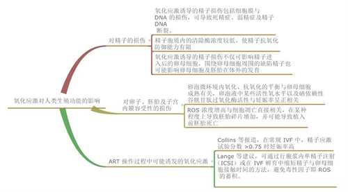 做试管婴儿前期，养卵的第一步，从「抗氧化」开始！