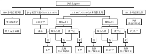 43.23%育龄女性中招？！拯救被甲状腺拉垮的生育力，你要做到这4点！