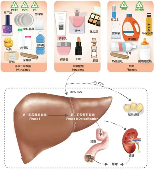 这个激素备孕人最常补充，但过量竟会导致胚胎着床失败？！