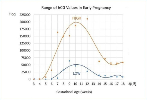 生育是优胜劣汰，没必要监测hCG，也没必要保胎？