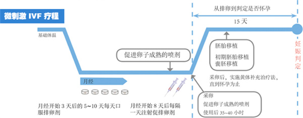 高龄卵少做试管婴儿成功率低？ 用对策略一样能赢